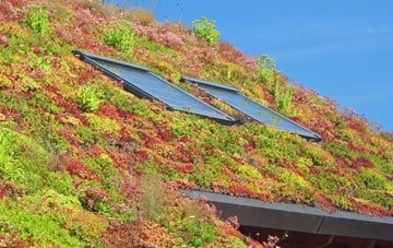 Spital In The Street living roof systems